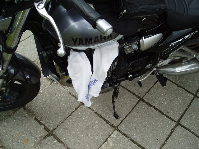 img00323.jpg