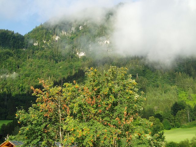 img00326.jpg