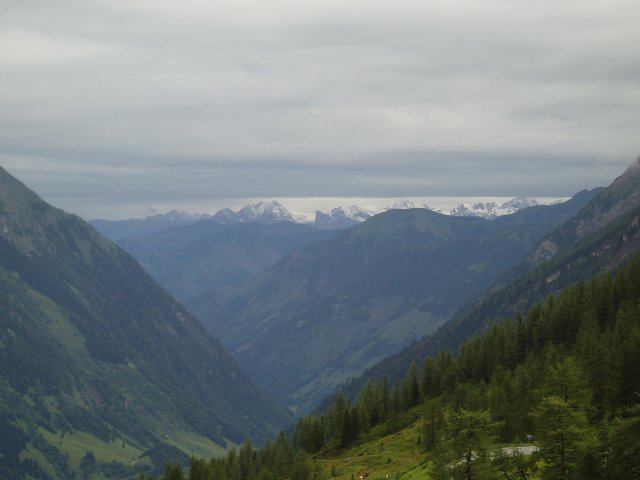 img00338.jpg
