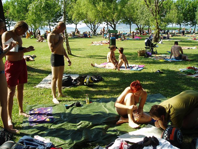 img00410.jpg