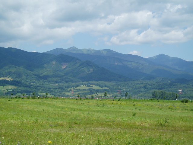 img00483.jpg