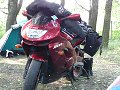 thn00180.jpg