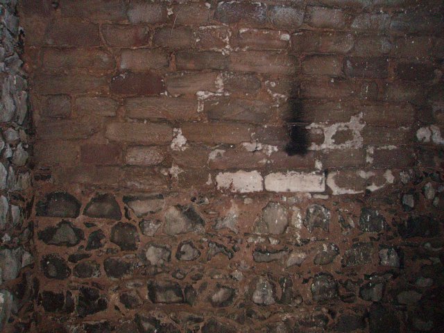 img00167.jpg