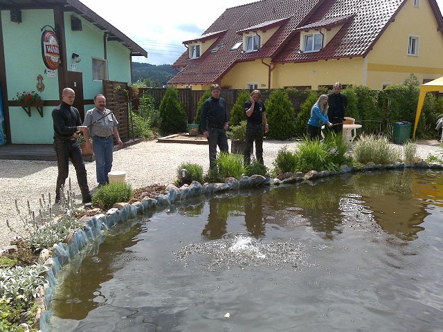 img00206.jpg