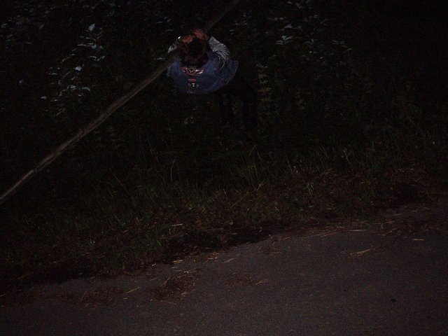 img00236.jpg