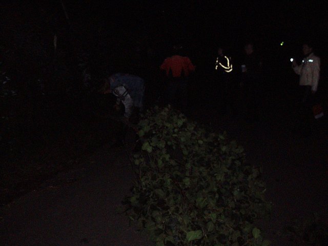 img00239.jpg
