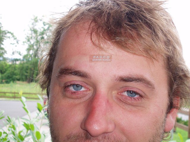 img00250.jpg