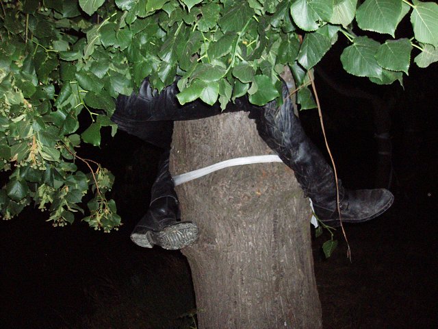 img00278.jpg