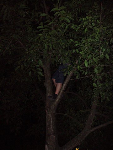 img00313.jpg