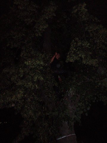 img00314.jpg