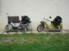 dsc03612_small.jpg