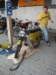 dsc03686_small.jpg
