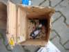 dsc03698_small.jpg