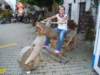 dsc03754_small.jpg