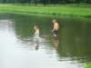 dsc03852_small.jpg