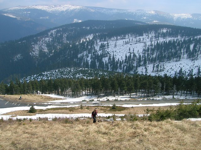 img00006.jpg