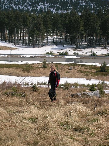 img00007.jpg