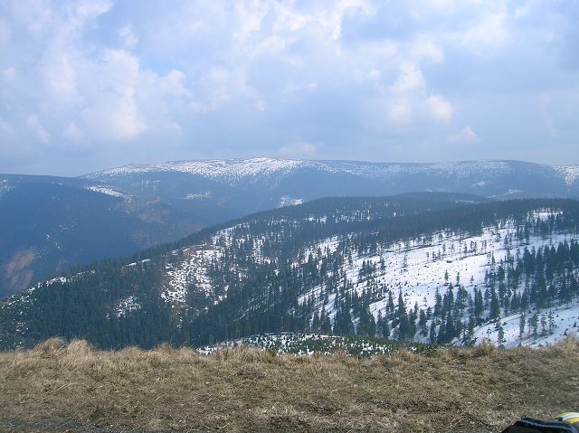 img00011.jpg
