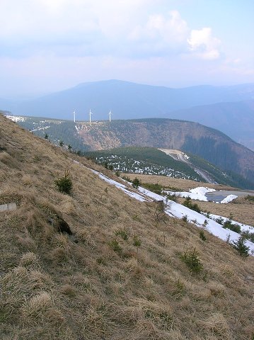 img00016.jpg