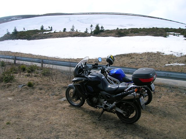 img00029.jpg