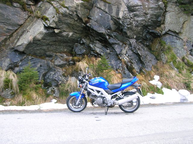img00035.jpg
