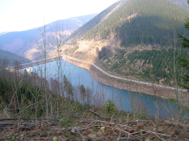 img00043.jpg
