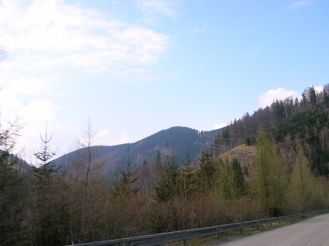 img00050.jpg