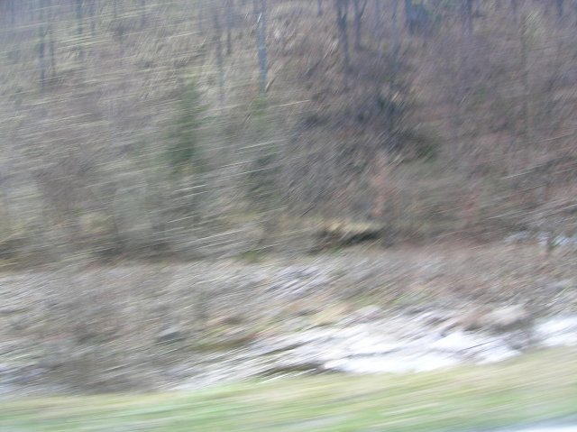 img00051.jpg