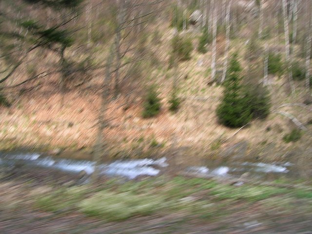 img00053.jpg
