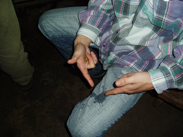 img00177.jpg