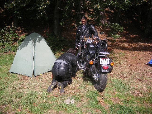 img00037.jpg