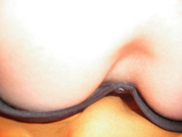img00219.jpg