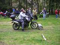thn00131.jpg
