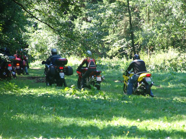 img00151.jpg