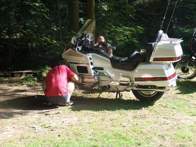 img00176.jpg