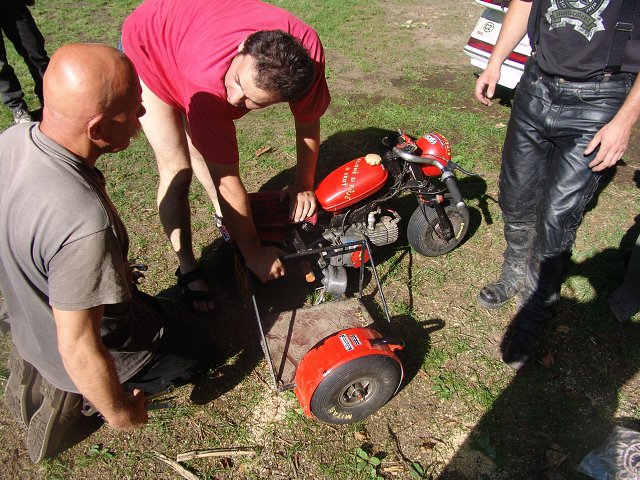img00184.jpg