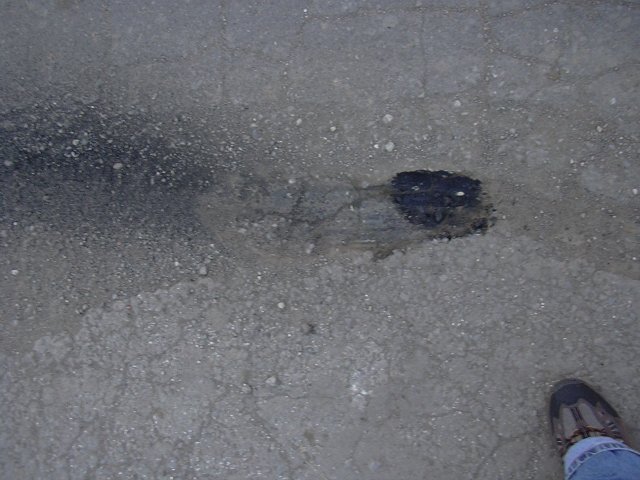 img00019.jpg