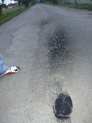 img00028.jpg