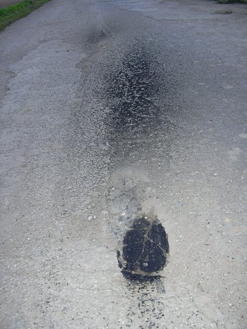 img00029.jpg