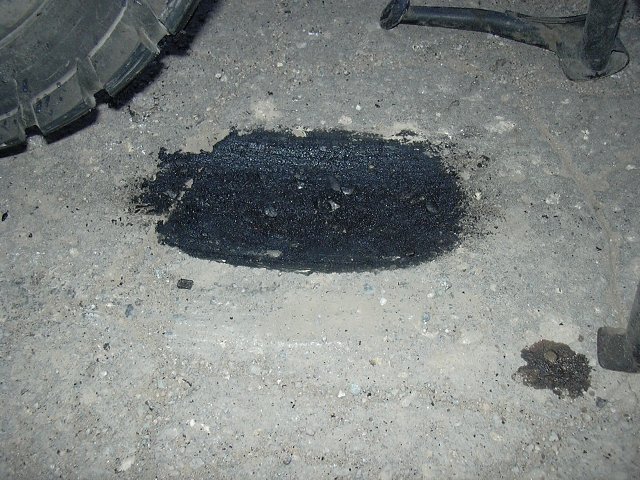 img00041.jpg
