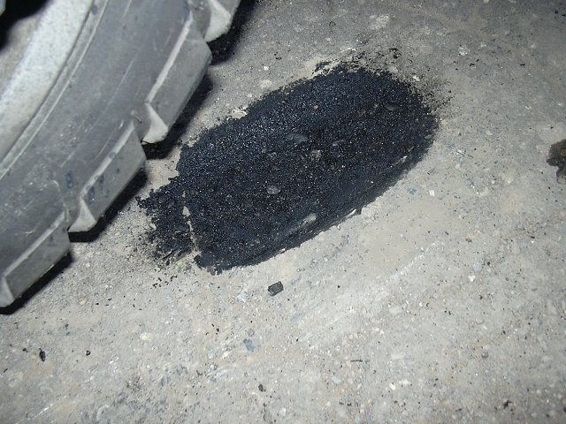 img00042.jpg