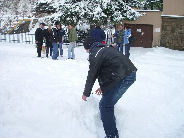 img00109.jpg