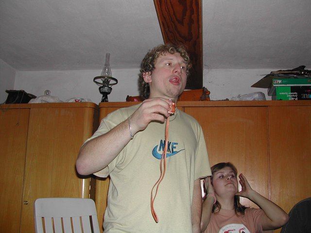 img00165.jpg