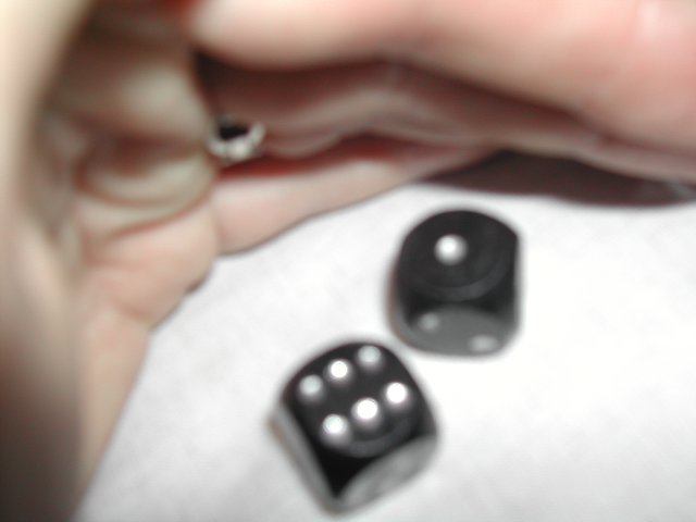 img00172.jpg